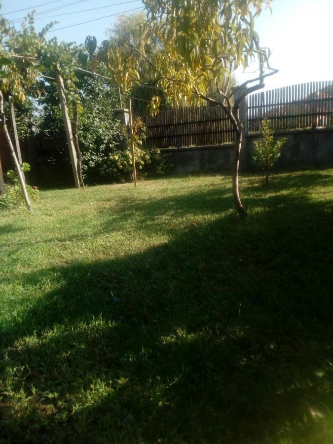 Къща За Гости Ягода Sapareva Banya Exterior photo