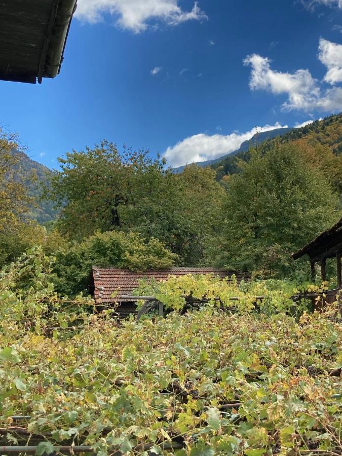 Къща За Гости Ягода Sapareva Banya Exterior photo